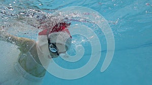 Cute little girl in a red Santa hat is playing sports in the children`s pool. She swims under the water in bubbles