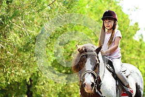 Cute little girl riding pony in park