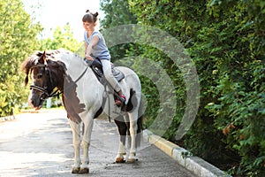 Cute little girl riding pony in park