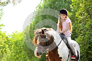 Cute little girl riding pony in park