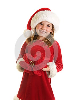 A Cute Little Girl in A Santa Claus Hat and Big Poinsettia Blossom