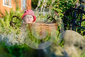 A cute little girl sits on a hay in a basket in the garden