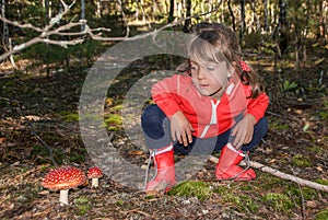 Cute little girl sits and looks at toxic amanita muscaria mushrooms in autumn forest.