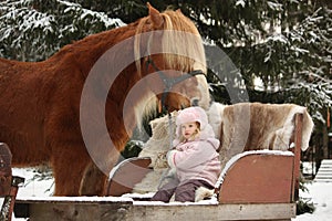 Cute little girl sitting in the sledges and big palomino draught