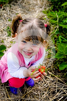 Cute little girl spooning strawberries in the garden in spring