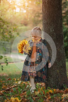 Cute little girl stands with a bouquet of maple yellow leaves in the autumn park. Dressed in a warm fashion coat