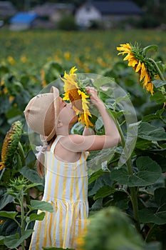 Cute little girl in a straw hat smelling a sunflower on the field. Summer cozy mood