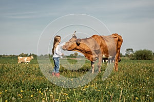 Cute little girl stroking a big horned cow, Farmer children family in green field with big cow in a green field