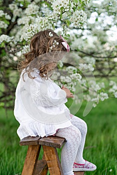 A cute little girl in a white shirt with curled hair sits on a wooden ladder