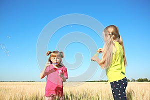 Cute little girls blowing soap bubbles in wheat field on sunny day