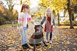 Cute little girls with dog in autumn park