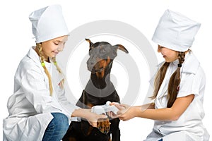 Cute little girls dressed like doctor treated dog
