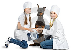 Cute little girls dressed like doctor treated dog