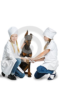 Cute little girls dressed like doctor treated dog