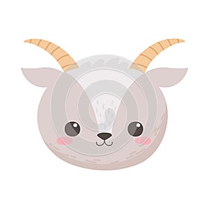 Cute little goat face animal cartoon isolated white background design