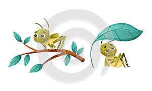 Cute Little Grasshopper Character Sitting Under Leaf and on Tree Branch Vector Set
