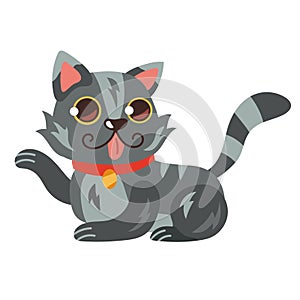 cute little gray cat
