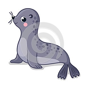 Cute little gray seal sits on a white background. Vector illustration in cartoon style