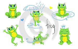 Cute little Green Frog Smiles, Jumps, Hunts insects, dreams