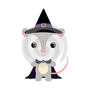 Cute little Halloween opossum in a wizard costume. Cartoon animal character for kids t-shirts, nursery decoration, baby