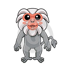 Cute little hamadryad monkey cartoon standing