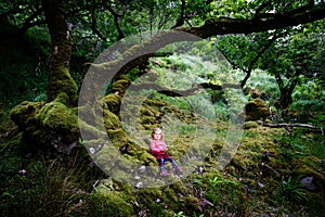Cute little happy toddler girl in green moss forest of Glenveagh national park in Ireland. Smiling and laughing baby