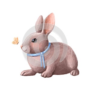 Cute little hare with butterfly, watercolor style illustration, cartoon clipart