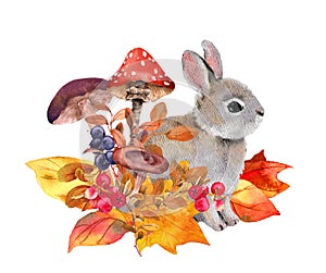 Cute little hare in fall watercolor illustration. Rabbit animal, mushrooms, autumn yellow leaves, forest berries, plants