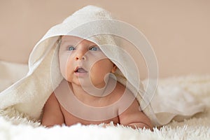 Cute little infant wrapped in white towel after bath or shower in bedroom. Close-up portrait of baby boy. Baby care concept.