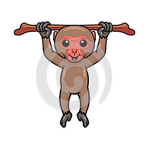 Cute little japanese macaque cartoon hanging on tree branch