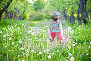 Cute little kid boy with bunny ears having fun with traditional Easter eggs hunt