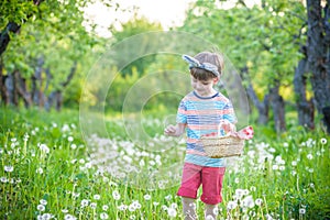 Cute little kid boy with bunny ears having fun with traditional Easter eggs hunt