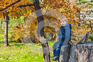 Cute little kid boy enjoying autumn day. Preschool child in colo