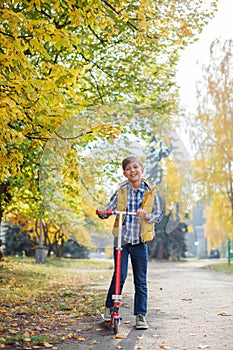 Cute little kid boy enjoying in autumn park.