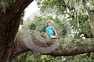 Cute little kid boy enjoying climbing on tree.