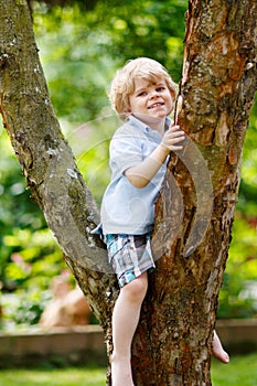 Cute little kid boy enjoying climbing on tree