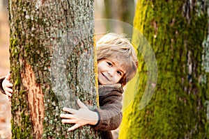 Cute little kid boy enjoying climbing on tree on autumn day. Cute child in autumnal clothes learning to climb, having