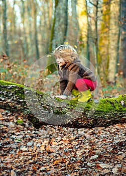 Cute little kid boy enjoying climbing on tree on autumn day. Happy child in autumnal clothes learning to climb, having