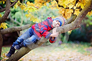 Cute little kid boy enjoying climbing on tree on autumn day. Preschool child in colorful autumnal clothes learning to