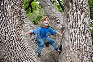 Cute little kid boy enjoying climbing on tree on summer day. Cute child learning to climb, having fun in forest or park