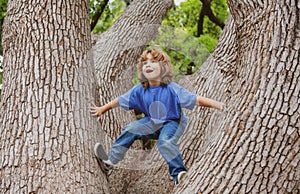 Cute little kid boy enjoying climbing on tree on summer day. Cute child learning to climb, having fun in forest or park