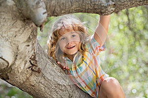 Cute little kid boy enjoying climbing on tree on summer day. Cute child learning to climb, having fun in forest or park