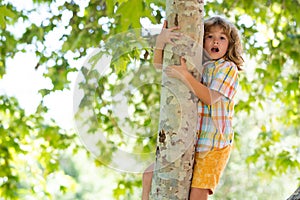 Cute little kid boy enjoying climbing on tree on summer day. Cute child learning to climb, having fun in forest or park