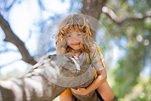 Cute little kid boy enjoying climbing on tree on summer day. Cute child learning to climb, having fun in forest or park