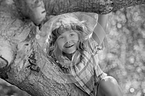 Cute little kid boy enjoying climbing on tree on summer day. Cute child learning to climb, having fun in forest or park