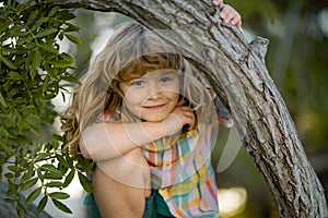 Cute little kid boy enjoying climbing on tree on summer day. Cute child learning to climb, having fun in summer park