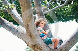 Cute little kid boy enjoying climbing on tree on summer day. Cute child learning to climb, having fun in summer park