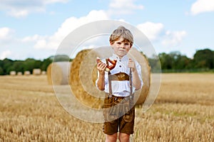 Cute little kid boy in traditional Bavarian costume in wheat field