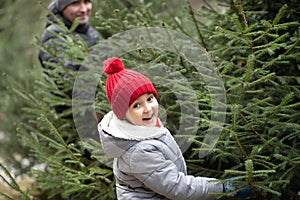 Cute little kid choosing with family freshly cut Christmas tree at outdoor fair. Holiday celebration concept