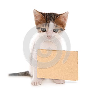 Cute little kitten and blank piece of cardboad on white background. Lonely pet